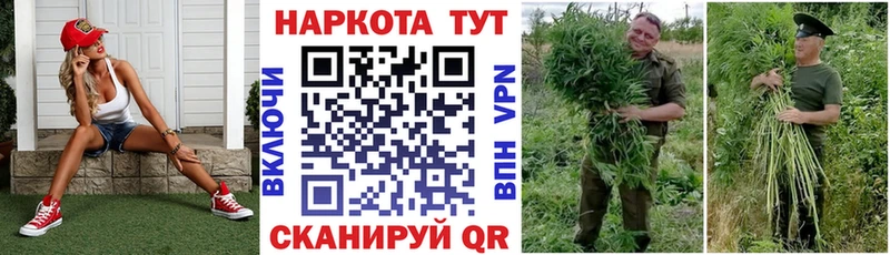 Купить наркотики Будённовск Гашиш  A PVP  Мефедрон  Бошки Шишки 