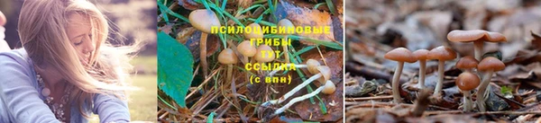 скорость mdpv Богородск