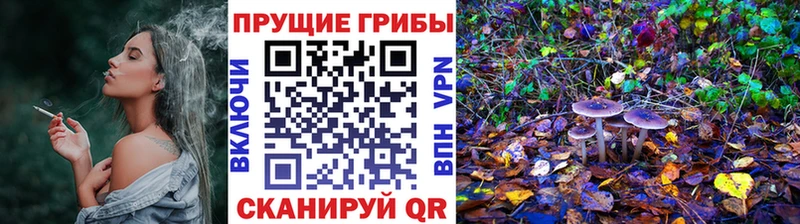 где купить наркотик  Будённовск  Галлюциногенные грибы ЛСД 